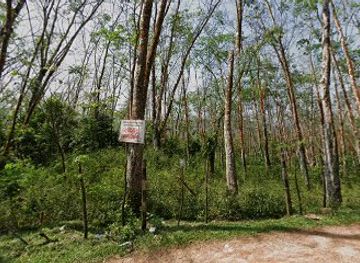 sri-lanka/ratnapura/attraction/dimiyawa-view-point