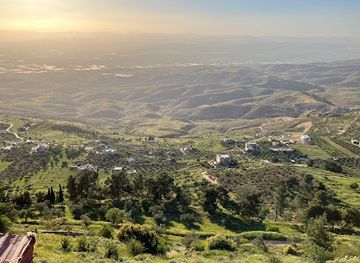 jordan/ajloun-forest-reserve/attraction/sh-alstyn
