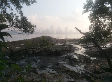 singapore/sungei-buloh-wetland-reserve/attraction/kranji-mudflats