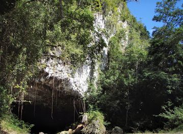 belize/crooked-tree-wildlife-sanctuary/attraction/st-herman-s-cave