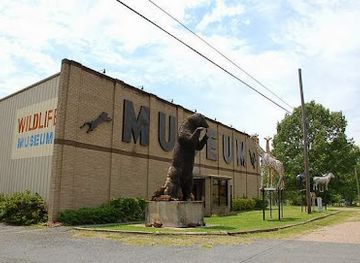 louisiana/north-louisiana/attraction/touchstone-wildlife-and-art