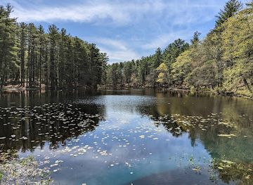 massachusetts/metrowest/attraction/harold-parker-state-forest