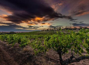 australia/barossa-valley/attraction/greenock-creek-wines