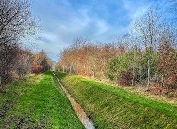 netherlands/drenthe/attraction/mantingerveld