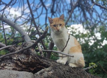 cyprus/kakopetria-village/attraction/vateri-hiking-trail-southern-access