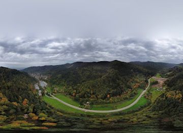 germany/freiburg/attraction/tallest-tree-in-germany