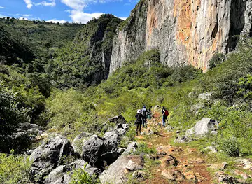 Santiago Waterfalls Apoala