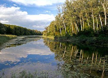 austria/weinviertel/attraction/danube-auen-national-park