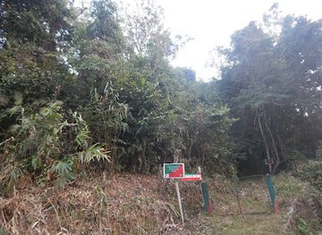 india/mizoram/attraction/ngengpui-wildlife-sanctuary