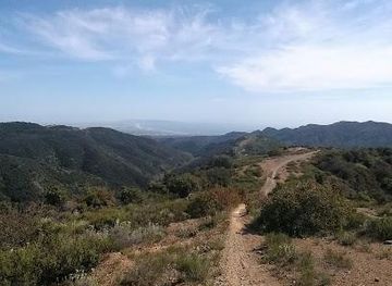 california/venice-beach/attraction/sullivan-canyon-trail