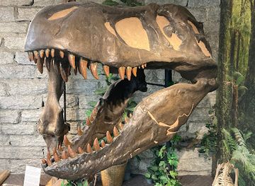 north-carolina/pisgah-national-forest/attraction/mineral-lapidary-museum