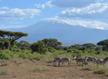 kenya/kilimanjaro-region/attraction/tsavo-west-national-park