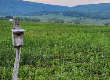 west-virginia/monongahela-national-forest/attraction/canaan-valley-national-wildlife-refuge