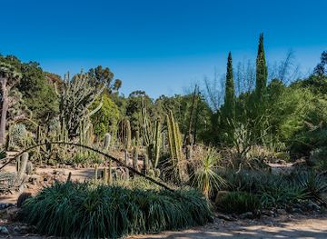 california/palo-alto/attraction/arizona-garden