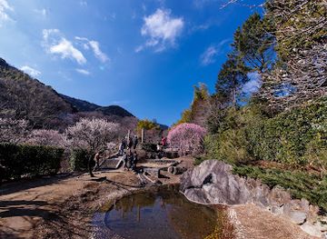 japan/izu/attraction/atami-plum-garden