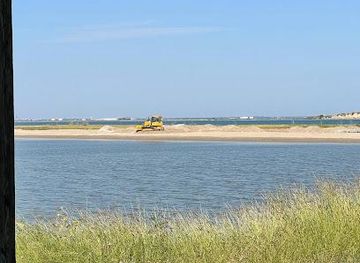 texas/port-aransas/attraction/port-aransas-nature-preserve-at-charlie-s-pasture