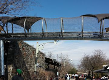 pennsylvania/philadelphia/attraction/big-cat-falls