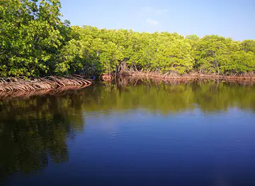 Gaakolhu fen'gan'du/ގާކޮޅު ފެންގަނޑު