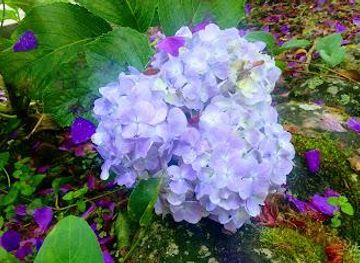 ecuador/quito/attraction/site-museum-tulipe