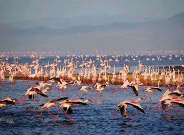 tanzania/lake-zone/attraction/ol-doinyo-lengai-local-guide