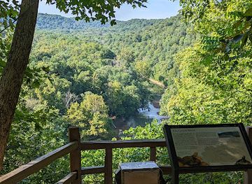 kentucky/mammoth-cave-national-park/attraction/mammoth-cave-visitor-hangout-picnic-area