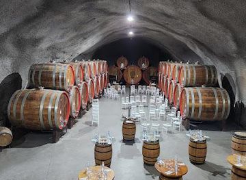 montenegro/kotor/attraction/wine-cellar-13-jul-plantaze