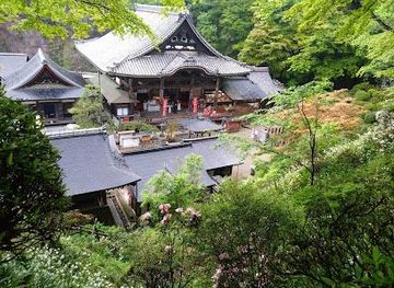 japan/nara/attraction/okadera