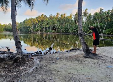 maldives/raa-atoll/attraction/mangrove