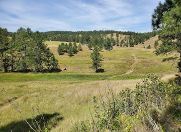 south-dakota/wind-cave-national-park/attraction/cold-brook-canyon-trail