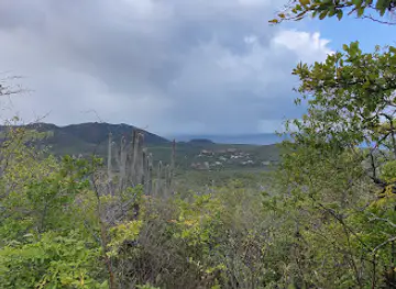 Viewpoint