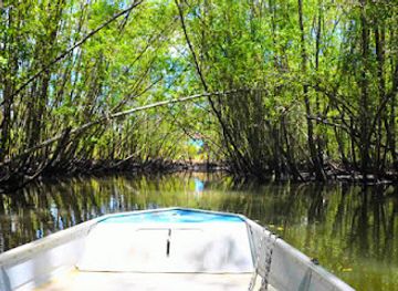 brazil/itacare/attraction/veneza-itacareense