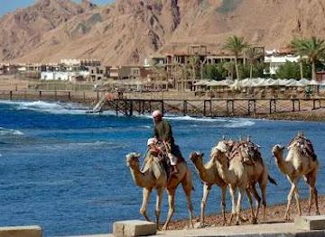 egypt/sharm-el-sheikh/attraction/sinai-desert-safari-sharm-el-sheikh
