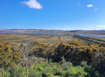 united-kingdom/isle-of-jura/attraction/rspb-loch-gruinart-islay