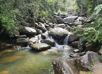 puerto-rico/el-yunque-national-forest/attraction/cascada-rio-espiritu-santo