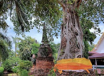 thailand/ayutthaya/attraction/ton-pho-pok-jedee