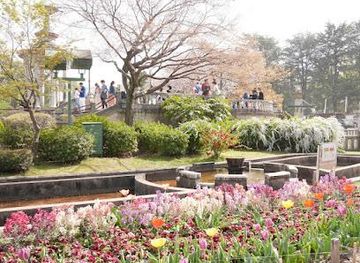 japan/nagoya/attraction/tsuruma-park