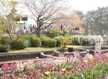 Tsuruma Park