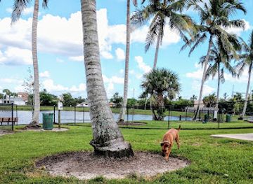 florida/marco-island/attraction/canine-cove-dog-park
