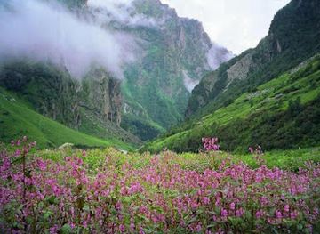 india/valley-of-flowers-national-park/attraction/nanda-devi-national-park