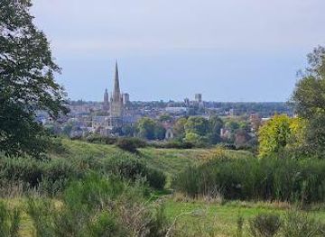 united-kingdom/norwich/attraction/mousehold-heath