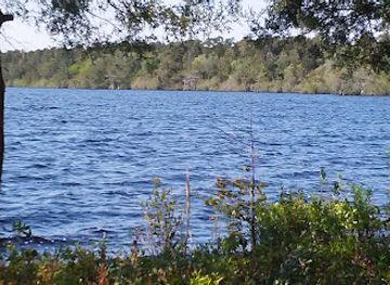 north-carolina/uwharrie-national-forest/attraction/bladen-lakes-state-forest