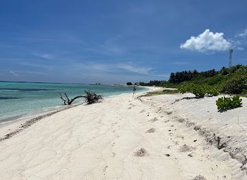 maldives/dhaalu-atoll/attraction/fenfushi-mangrove