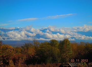 georgia/telavi/attraction/bardanashvili-s-marani