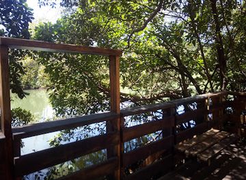 india/panaji/attraction/mangrove-boardwalk