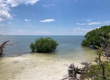 florida/key-largo/attraction/anne-s-beach