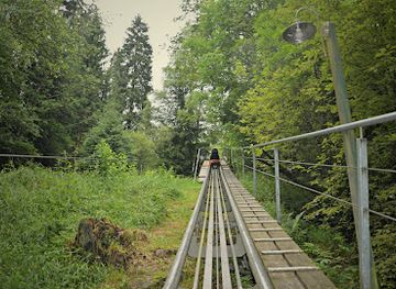 germany/harz-national-park/attraction/brocken-coaster-thomas-mask