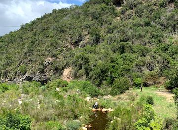 south-africa/eastern-cape/attraction/van-staden-s-bridge