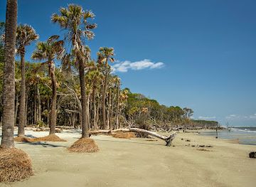 south-carolina/sea-islands/attraction/hunting-island