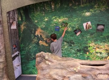 ohio/miami-valley/attraction/hefner-museum-of-natural-history