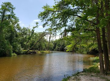 louisiana/bayou-country/attraction/bogue-falaya-wayside-park